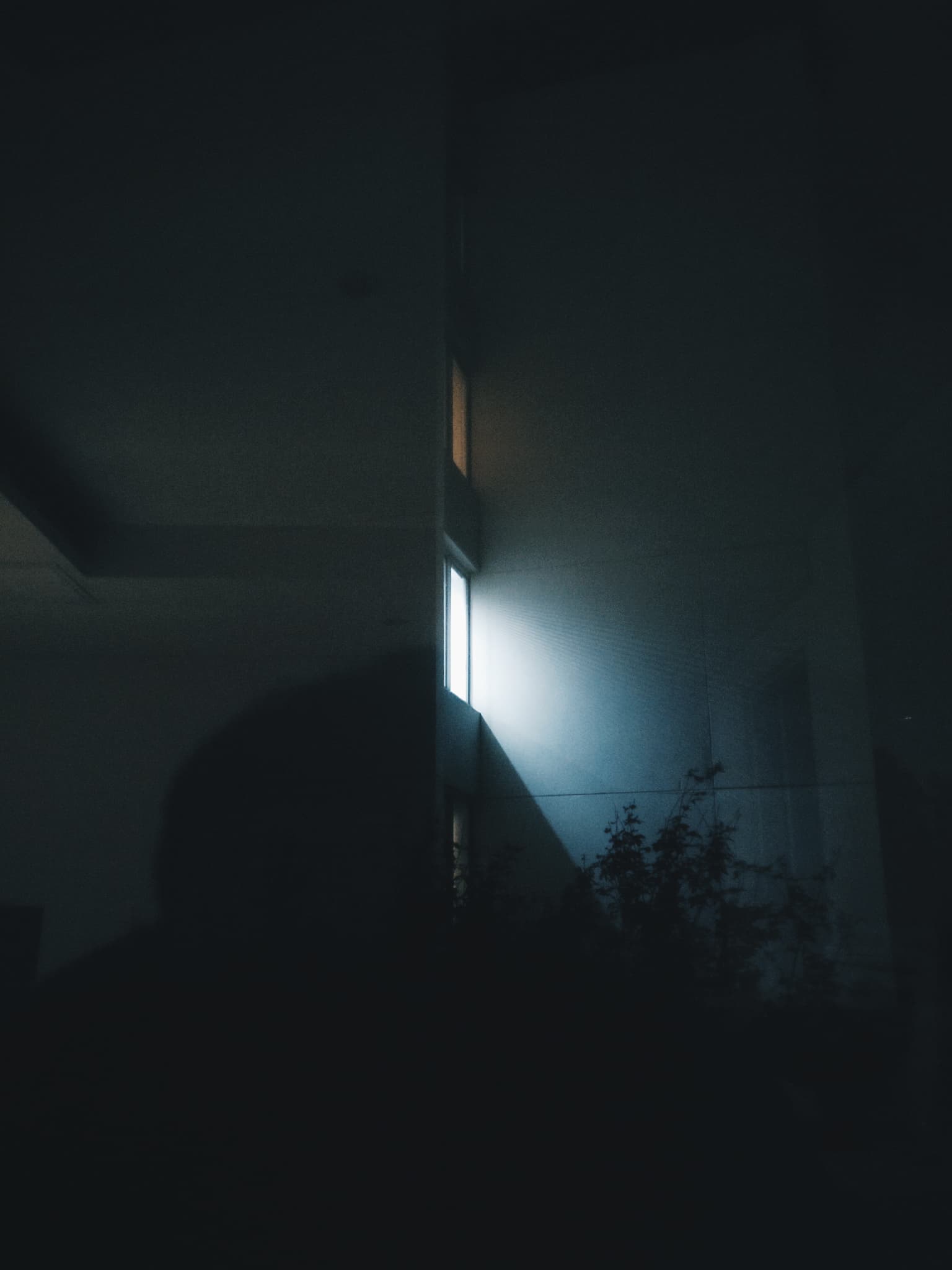 5af7b38814b0c225d7000005
